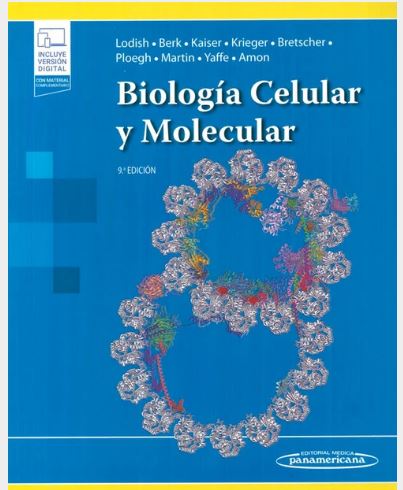 ISBN: 9788411061896